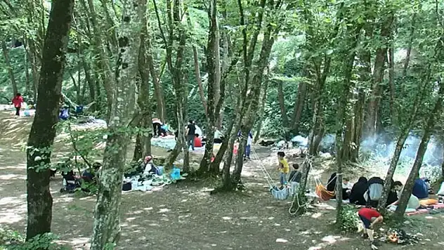 İstanbul Valiliği'nden ormanlara giriş yasağı!