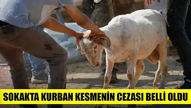 Sokakta kurban kesmenin cezası belli oldu