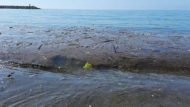 'Dere gitti, çöpü kaldı'