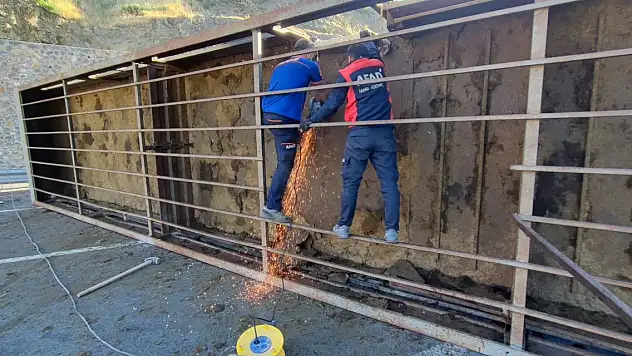 Sürücü ve 150 kurbanlık koyun öldü!