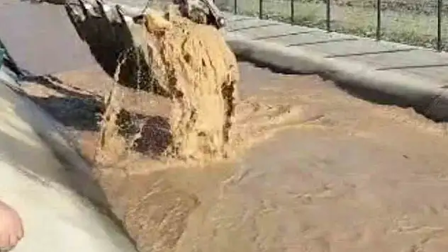 Su kanalına düşen boğayı kepçeyle kurtardı