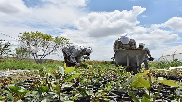 11 arkadaş kurdu! Bursa'da üretiliyor, dünyaya ihraç ediliyor