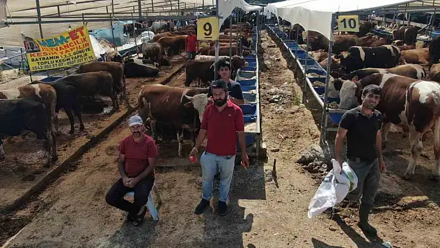 Kurbanlık seçerken nelere dikkat edilmeli