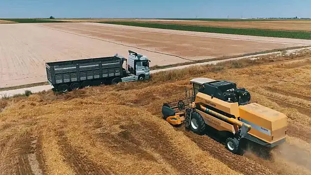 Yağışlar rekolteyi 2 katına çıkardı