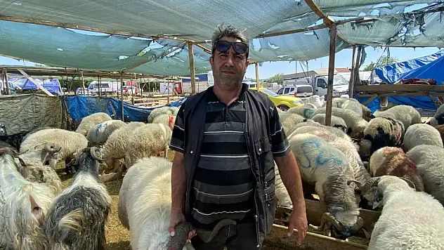Kurban pazarında arife yoğunluğu