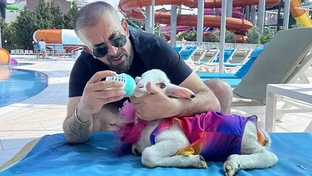 Kurban Bayramı öncesi kuzusuyla tatil yaptı