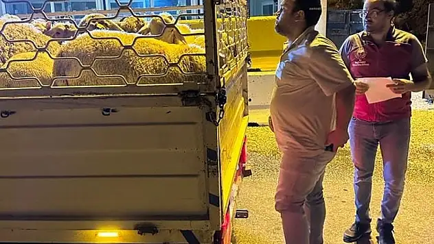 Denetimler aralıksız sürüyor