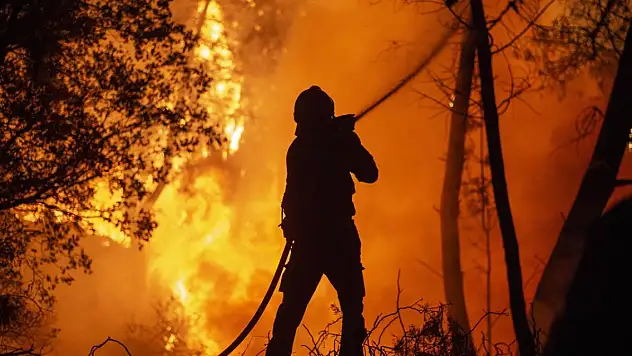 Her 1 dakikada 11 futbol sahası büyüklüğünde orman yok oldu