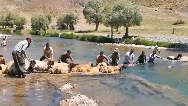 Tek tek suya soktular