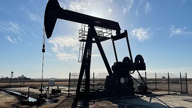 TPAO'nun iki petrol arama ruhsatının süresi uzatıldı