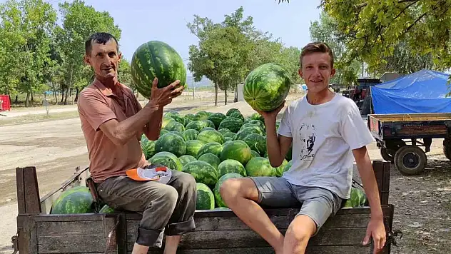 Karpuz nasıl seçilir? Karpuz hakkında ilginç bilgiler