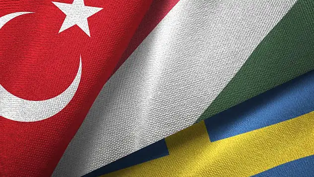 Macaristan'dan İsveç açıklaması: Türkiye ile birlikte hareket edeceğiz