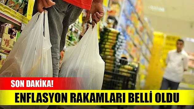 Son Dakika! Enflasyon rakamları belli oldu