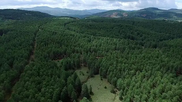 Valilik kararınca yasaklandı