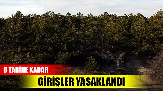Son Dakika! Bakanlıktan açıklama: Girişler yasaklandı