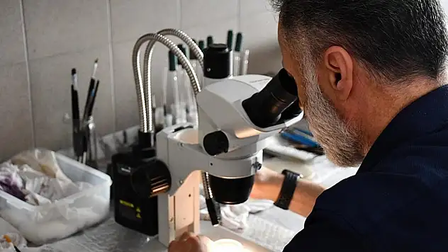 Türk bilim insanları yeni bir parazit türü keşfetti