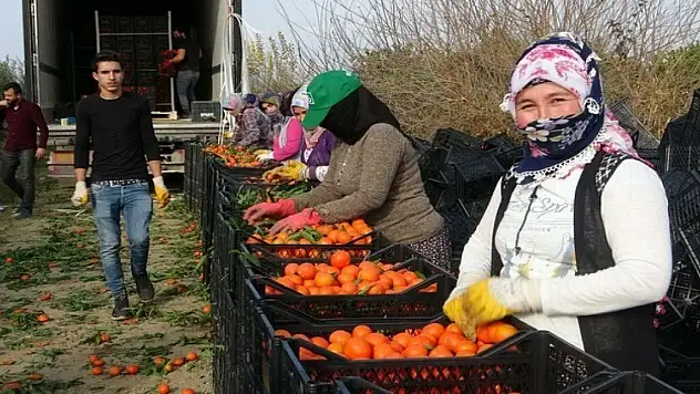 İşçi fiyatları belirlendi