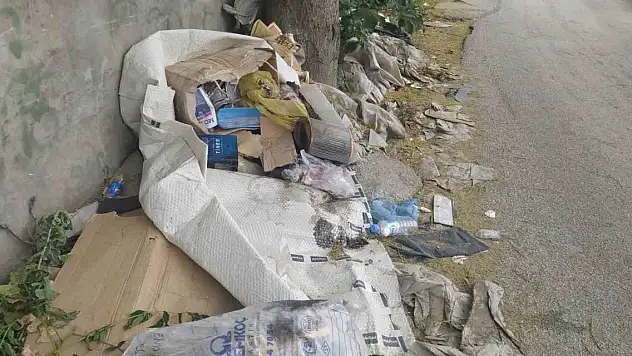 Her köşeye çöp dökmek serbest mi ?