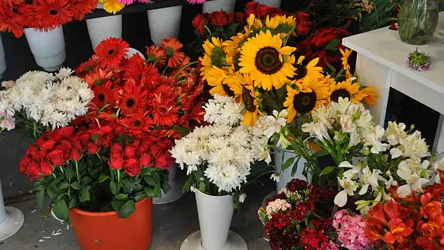 Bitkilerin yazlık bakım konusunda önemli uyarı