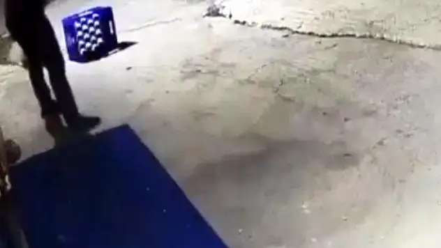 Köpeği 14 kurşunla öldürdü!