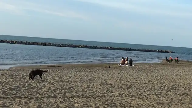 Karadeniz'de 'rip' tehlikesi! Yüzlerce can kaybı yaşandı