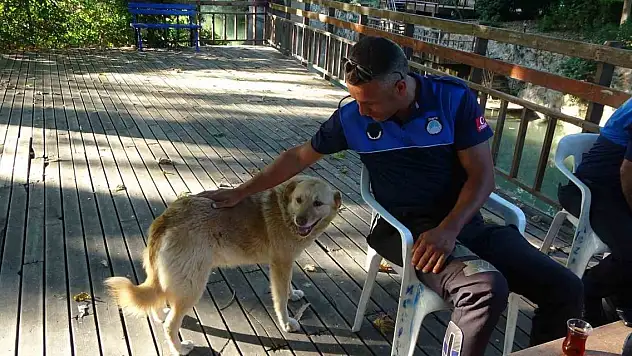 Sıcaklık arttı, belediyeden anonslu uyarı geldi