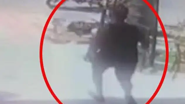 Tekmelediği köpek öldü, serbest kaldı saldırı anı kamerada