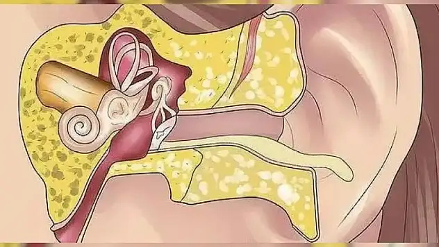 Mevsim değişikliklerinde bu hastalığa dikkat! Çocuklarda daha sık görülüyor