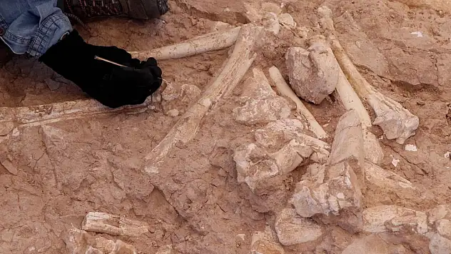 Çoban tarafından buulundu! Tam 7,5 milyon yıllık