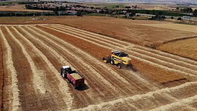 Çiftçi umduğundan daha fazla ürün aldı