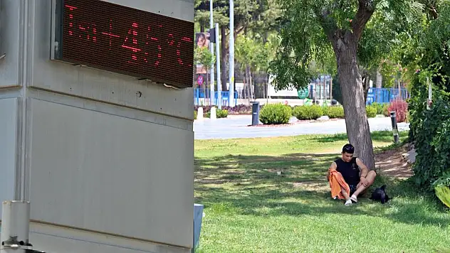 Termometreler 45 dereceyi gösterdi, yağmurdan kaçar gibi El Nino'dan kaçtılar