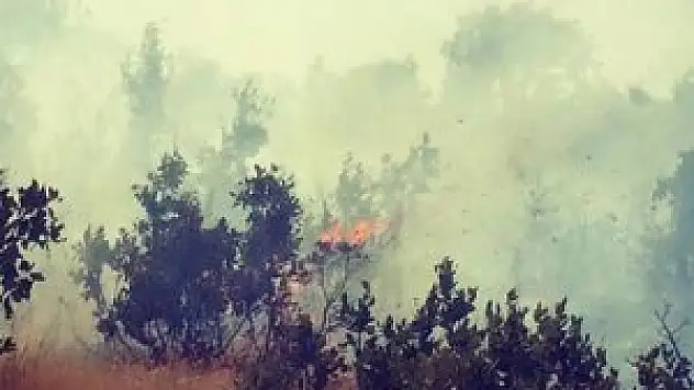 Soma'da termik santral arazisinde yangın