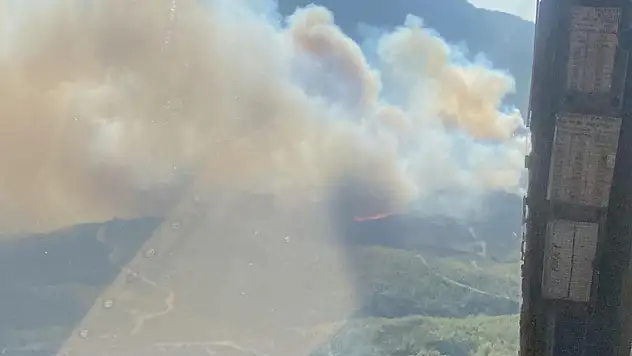 Mersin'de orman yangını
