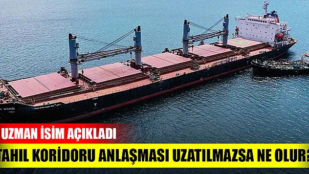 Tahıl koridoru anlaşması uzatılmazsa ne olur? Uzman isim açıkladı