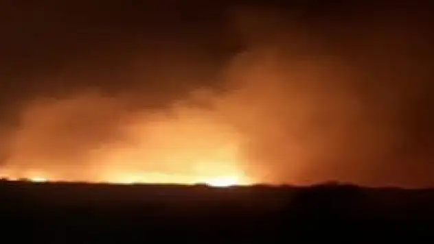 Bakan Yumaklı: Son 10 günde 203 orman yangını çıktı