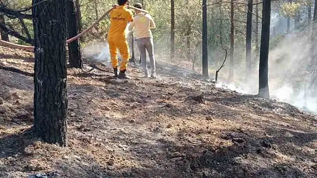 Adana'da orman yangını, büyümeden kontrol altına alındı