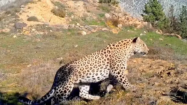 Avlanması yasak hayvanlara zarar verene 1,2 milyon liraya varan ceza