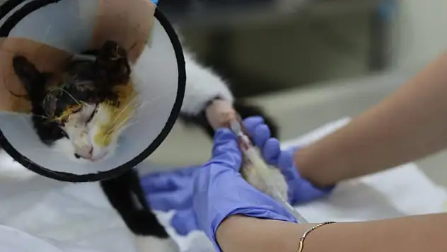 Asit dökülmüştü, yaraları sarılıyor