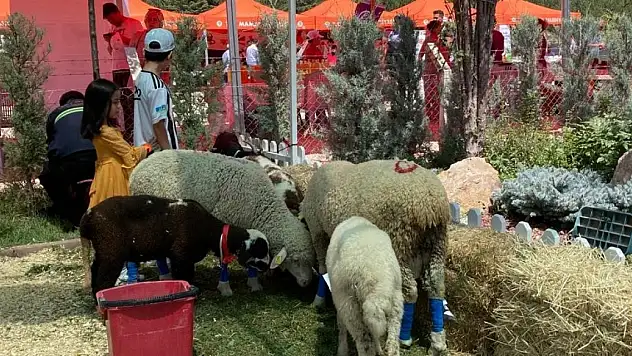 EKOFEST 2023 yoğun katılımla başladı