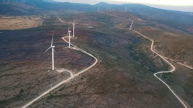Çeşme'de ormanı yakan yakalandı