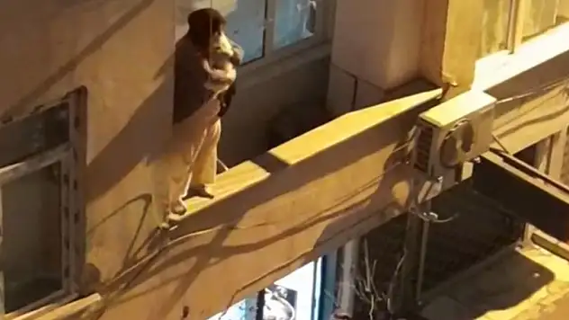 Kediyi kurtarmak için canını tehlikeye attı