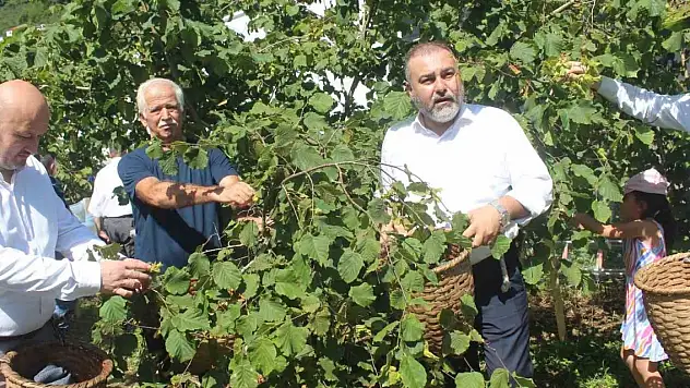 Köylüler fındık festivalinde buluştu