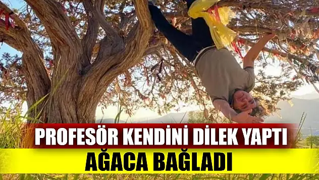 Profesör kendini dilek yaptı, ağaca bağladı