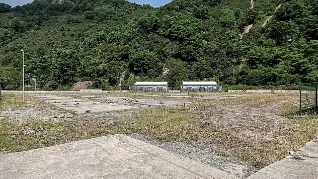 'Asrın felaketi', fındığı da vurdu