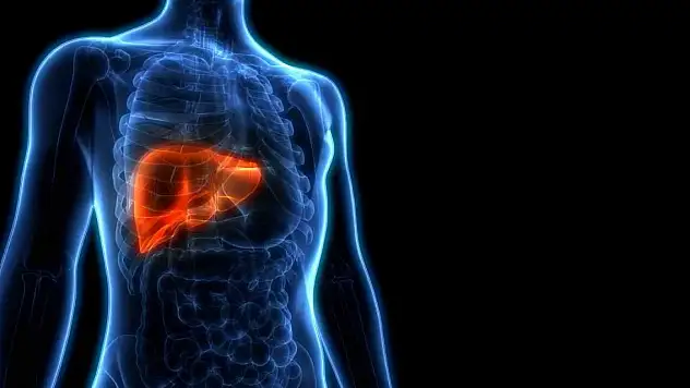 Hepatitin sinsi belirtilerini göz ardı etmeyin