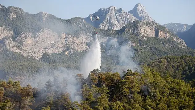 Orman yangınları atmosferdeki karbondioksit emisyonunu artırıyor