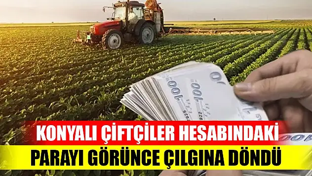 Konyalı çiftçiler hesabındaki parayı görünce çılgına döndü