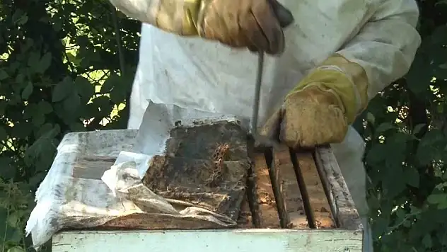 Türkiye bal üretiminde dünyada kaçıncı sırada? Hedef 1 milyar dolar ihracat