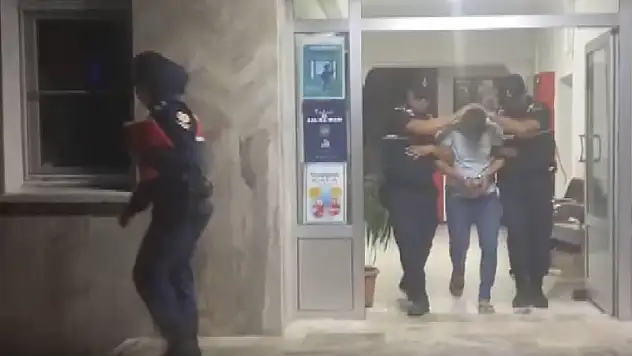 Bakanlıktan, zeytin tankında sepetleme görüntüsüne inceleme