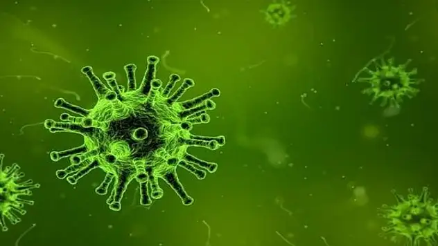 Koronavirüste korkutan gelişme! 113 farklı mutasyona sahip